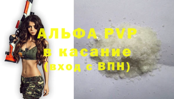 гидра Белокуриха