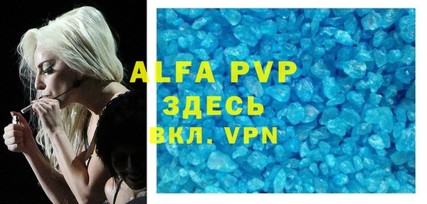 гидра Белокуриха