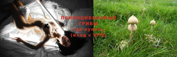 гидра Белокуриха