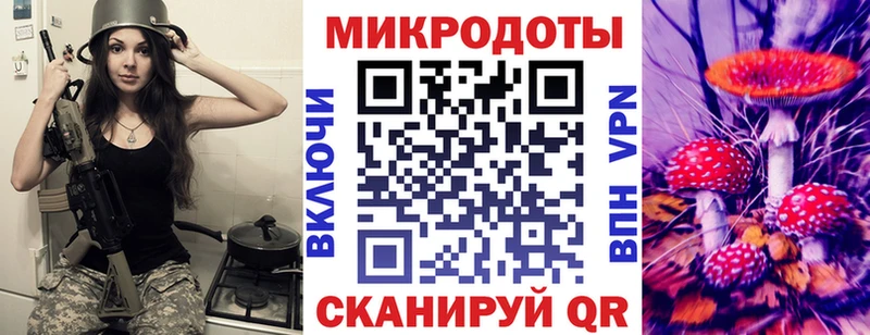 где купить наркотик  Пионерский  Галлюциногенные грибы GOLDEN TEACHER 